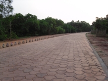 Auroville Road Service